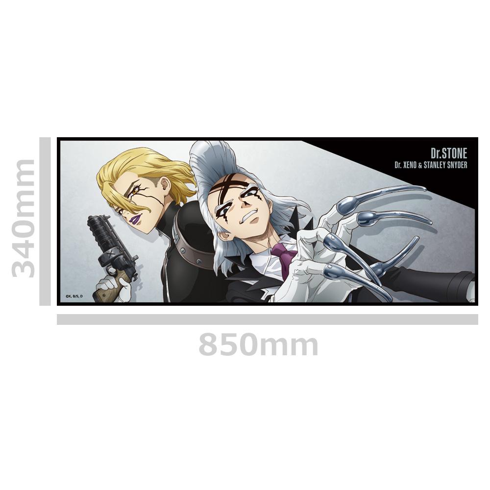 Dr.STONE 石紀元 澤諾&斯坦利 聯名企劃 徽章款毛巾