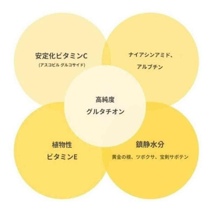 172556537