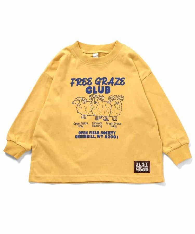 173371005