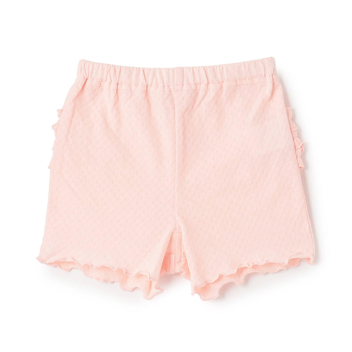 169898684