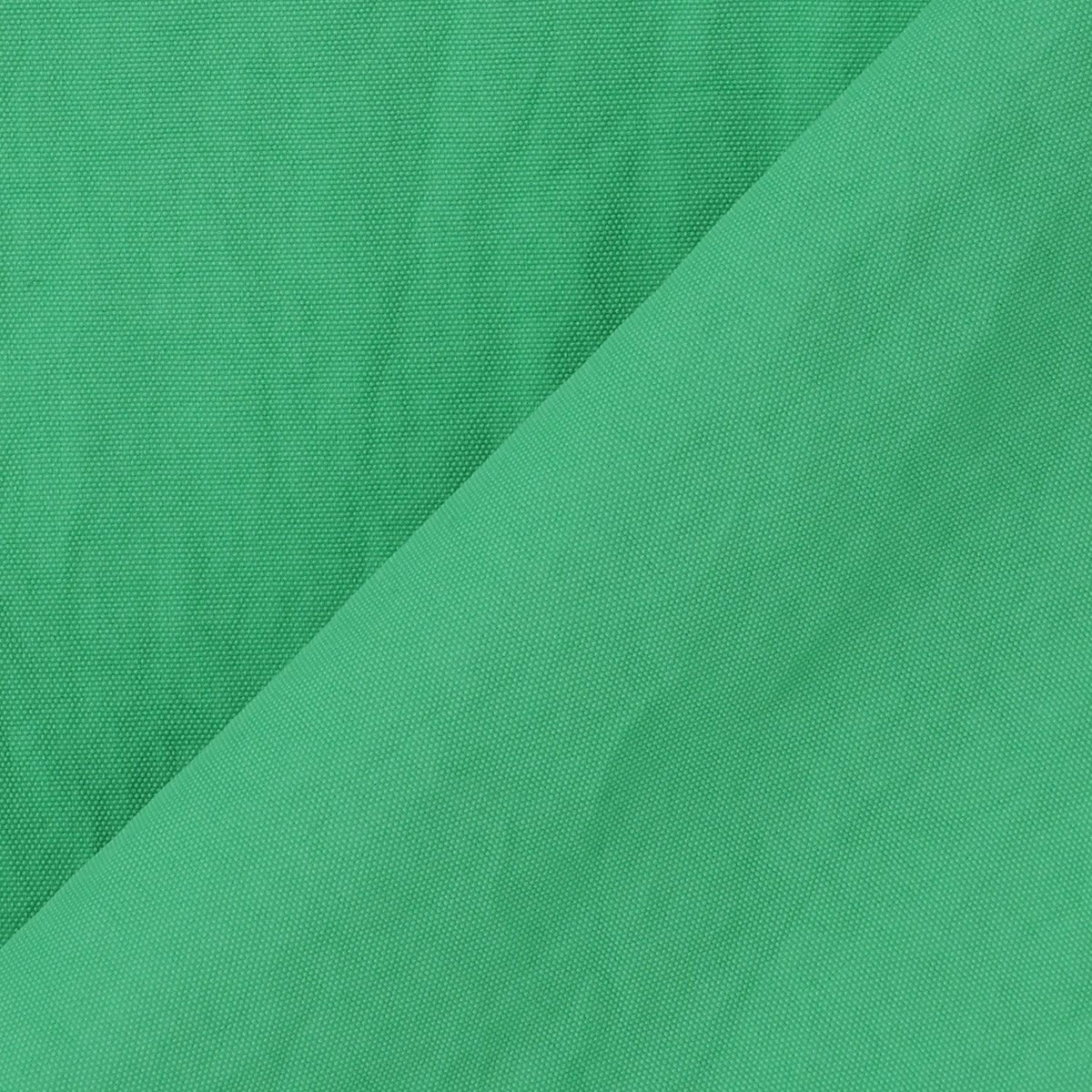 169118007