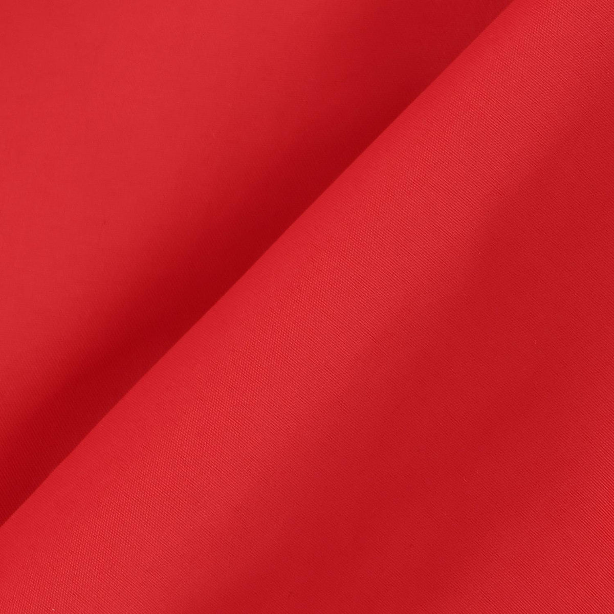 169118061