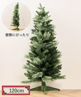 家居裝飾