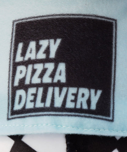 120443529