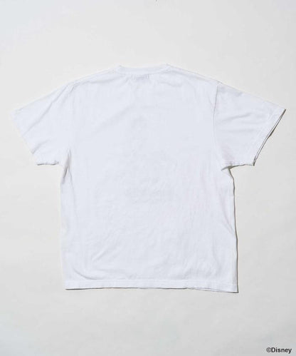 155920044