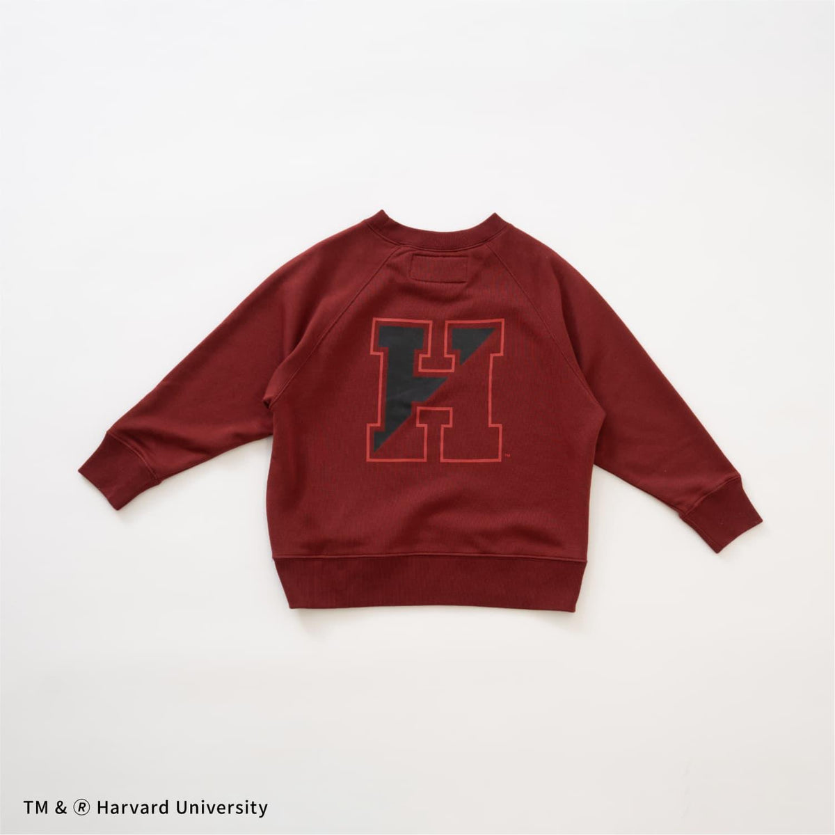 168674774