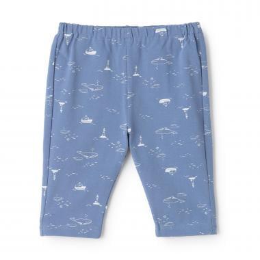 169501262