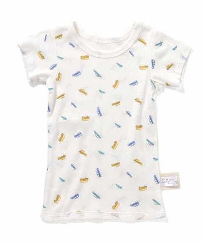 173738004