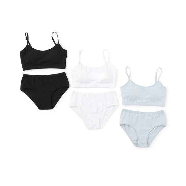 162841853